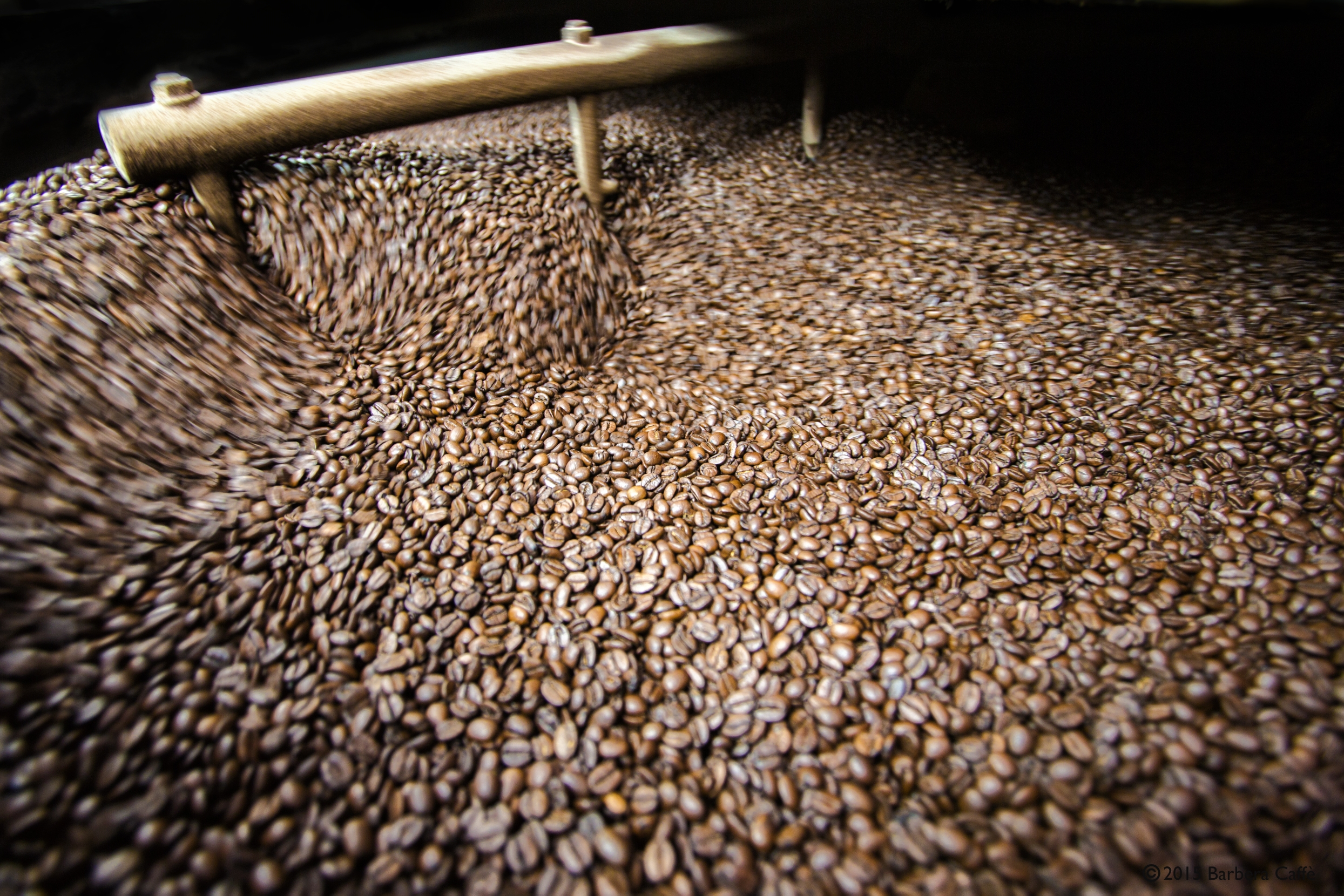 Caffè Barbera